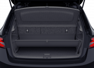 Skoda Fabia Monte Carlo TSI DSG 2026 DSG 7-Gang