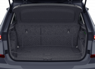 Skoda Kamiq Monte Carlo TSI DSG 2026 DSG 7-Gang